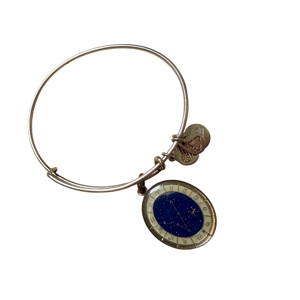 Alex and Ani‎ Pisces Zodiac Bangle Silver Celestial Astrology Charm Bracelet